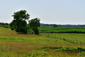 Obraz premium Farm Field