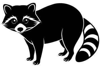 red panda vector illustration