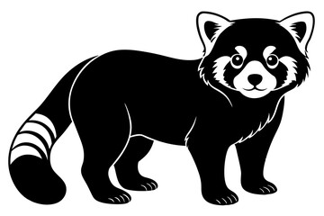 red panda vector illustration