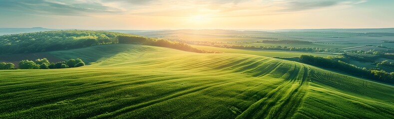 wide banner Aerial view of cultivated agricultural farming land with vivid green color at sunset with copyspace area