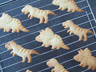 焼きたての恐竜クッキー