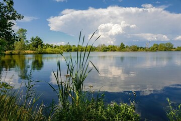 A scenic view of Kountze Lake at Belmar Park a wonderful wildlife refuge for small mammals and birds in Lakewood, Colorado.
