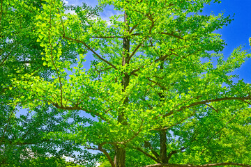 四次元空間を探して