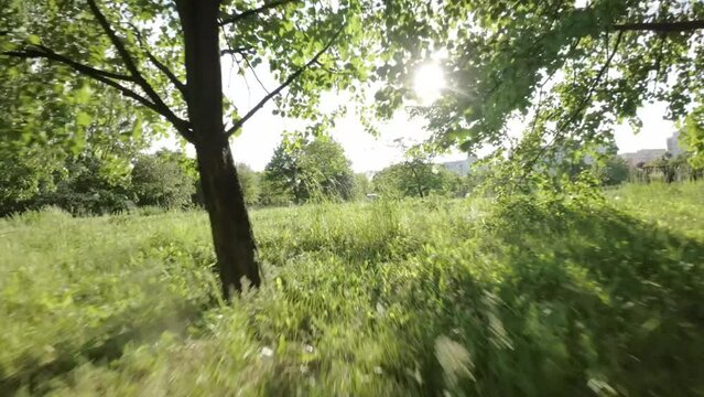 Immerse yourself in the vibrant atmosphere of a picturesque park as you join a roller blader on an exhilarating journey. The park comes alive with lush green trees, providing a refreshing canopy from