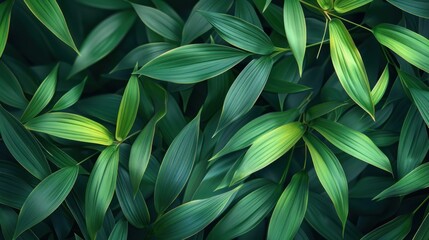 Obraz premium Flat design featuring stylized bamboo leaves with vibrant greens and clean lines.