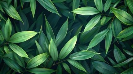 Obraz premium Clean lines and vibrant greens portray stylized bamboo leaves in a flat design.