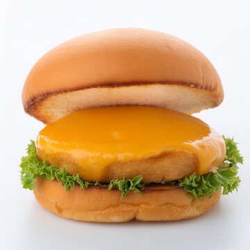 hamburger with cheese and lettuce fish-burger or chicken burger