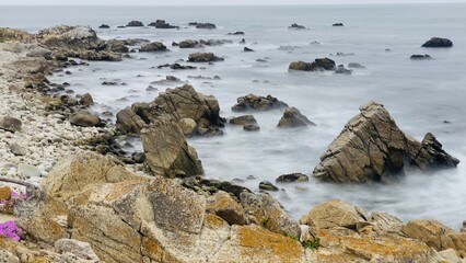 Coastline on 17 mile dr in California