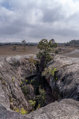 Plants grow from the 1969 fissure vents. Hawaii Volcanoes National Park, Kīlauea volcano. A fissure vent, volcanic fissure, eruption fissure or simply a fissure, is a linear volcanic vent 