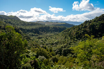 Waitoharuru Valley in Rotorua - New Zealand