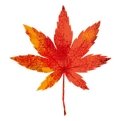 もみじ（紅葉）の手書き水彩イラスト／白い背景に分離されたフラットなベクター素材