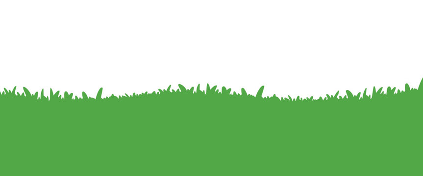 Grass Meadow Bottom Border for Background Element Decoration Vector Illustration