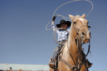 Western scene with young cowboy swinging rope from horseback on palomino horse, copy space on sky...