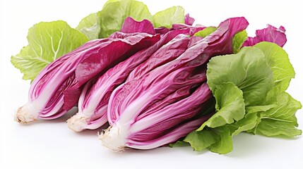 Obraz premium Radicchio clipart, isolated on white background