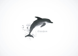 Minimalist ink painting with dolphin in sumi-e style on white