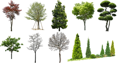 樹木切り抜きセット透過PNG背景白-Cutout Tree