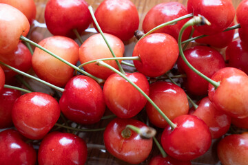 みずみずしい赤いサクランボ