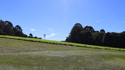 Golf course landscape