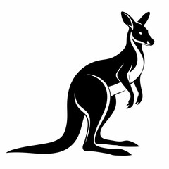 kangaroo illustration