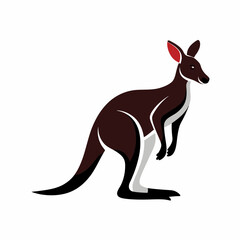 kangaroo vector illustration