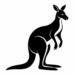 kangaroo illustration