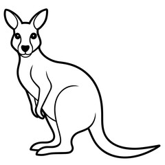 kangaroo vector  illustration