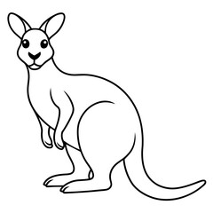 kangaroo vector illustration