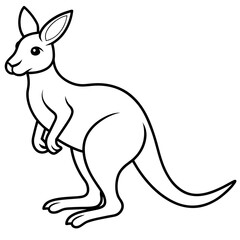 kangaroo illustration
