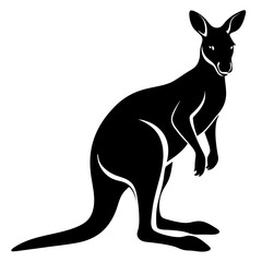 kangaroo vector illustration