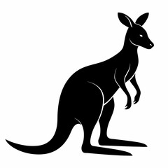 kangaroo vector illustration