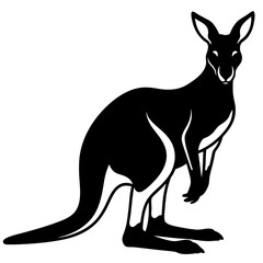 kangaroo vector  art illustration