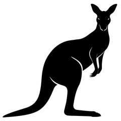 kangaroo illustration