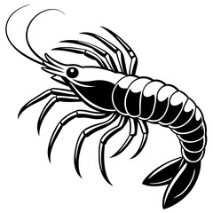 shrimp illustration