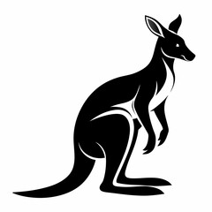 kangaroo  vector illustration