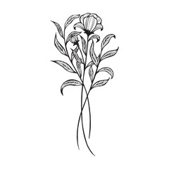 Flowers and Greenery