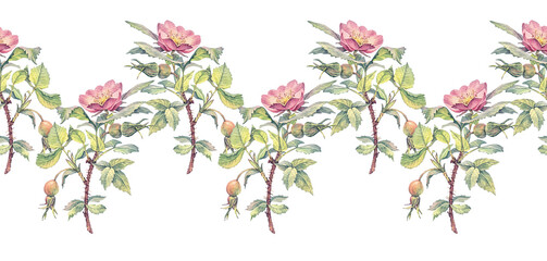 Seamless rim with watercolor flower dog rose on white background. Hand-drawn summer branch with leaves and wild pink rose hip. Botanical border for frame tea wallpaper. Wrapping or textile kitchen