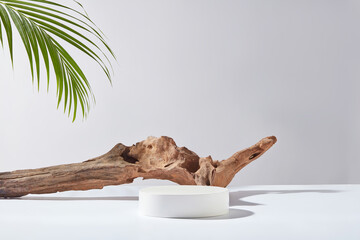 The photo of front angle has summer vibe layout on white background, the platform in circular shape displayed in center with a brown log placed in back, green coconut leaf decoration in the corner