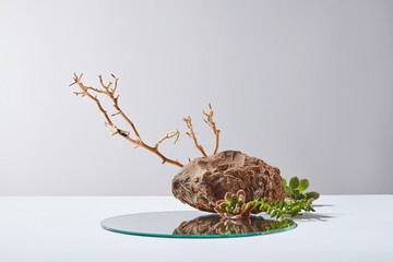 Minimalist template for promotional photo over light gray background, the blank glass showcase platform displayed in center of white table, a brown rock, a dry tree and some cacti decorated beside