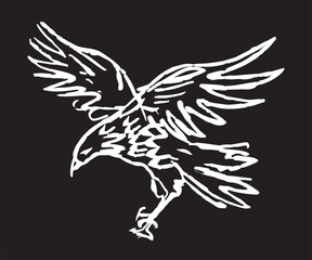 Hand drawn white eagle art illustration on black background