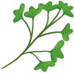 Bouquet of leaves and flowers