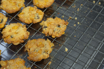 Cornflake cookies on a baking tra, select focus.