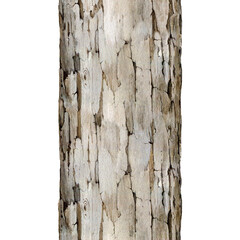 Tree trunk with bark seamless border. Watercolor vintage style painted illustration. Hand drawn wooden tree with bark endless element. Isolated on white background