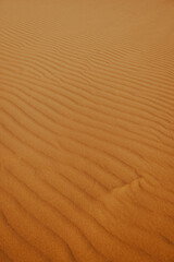 sand dune texture