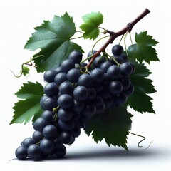 Fototapeta premium A close-up of a ripe bunch of grapes isolated on a white background