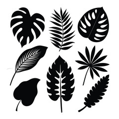 Set of tropical nature leaf silhouette vector illustrator on white background