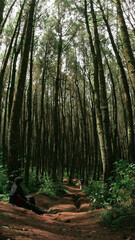 a hijab muslimah girl relaxing on the forest