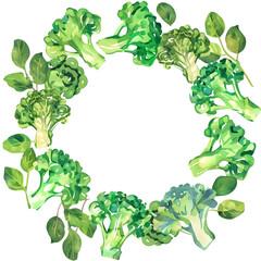 Watercolor circle frame of fresh green broccoli and leaves with copy space for healthy food design concept