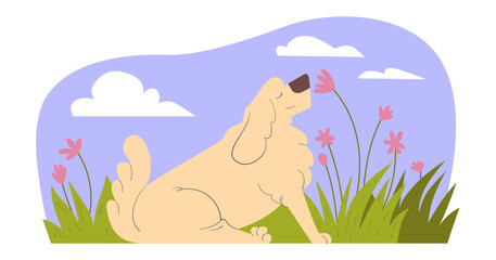 The dog enjoys nature and flowers