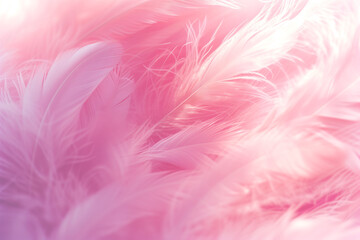 Obraz premium Abstract beautyful pink tone feathers background. Fluffy feather fashion design vintage bohemian style pastel texture. Wedding, anniversary, valentine`s day concept. Soft focuse