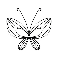 Butterfly zentangle adult coloring page mandala intricate line art. Simple Butterfly Line Art For Coloring Book.